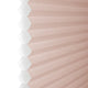 PID-1310_CID-1099_p