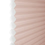 PID-1310_CID-1099_p