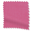 ColorizedSwatch PerfectFIT Florence Blackout Fuchsia Roller Blind sample image 2559