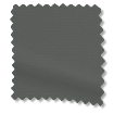 ColorizedSwatch 2897