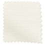 ColorizedSwatch PVC Blackout Fawn Roller Blind sample image 3481