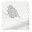 ColorizedSwatch Springs Dawn Chorus Ivory Roller Blind sample image 3711