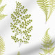 ColorizedPLA Angel Ferns Olive Roller Blind 3731