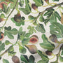 ColorizedPLA Choices Figs Green Roller Blind