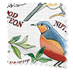 ColorizedSwatch Garden Birds Multi Roller Blind sample image 3940