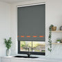 ColorizedZoom Mr Fox Border Charcoal Roller Blind 4003