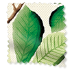 ColorizedSwatch Choices Horse Chestnut Green Roller Blind sample image 4171