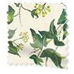 ColorizedSwatch Choices Ivy Green Roller Blind sample image 4172