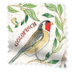 ColorizedSwatch Twist2Go Garden Birds Multi Roller Blind sample image 4617