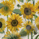 ColorizedPLA Twist2Go Choices Sunflowers Yellow Roller Blind 4647