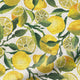 ColorizedPLA Twist2Go Choices Lemons Yellow Roller Blind 4658