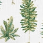 ColorizedPLA Fernery Fern Roller Blind 5317