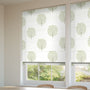 ColorizedZoom Bay Tree & Bird Fennel Roman Blind 6890