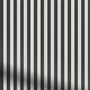 ColorizedPLA Candy Stripes Jet Roman Blind 6925