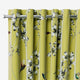 ColorizedZoom 5595
