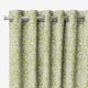 ColorizedZoom 5810