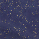 ColorizedPLA Star Gazing Blackout Night Sky Roller Blind 8107