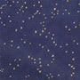 ColorizedPLA Star Gazing Blackout Night Sky Roller Blind 8107