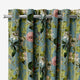 ColorizedZoom 9095
