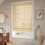 ColorizedZoom 9503