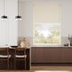 Colorized Twist2Go Atom Toffee Double Roller Blind 2387