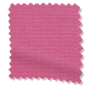 ColorizedSwatch PerfectFIT Florence Blackout Fuchsia Roller Blind sample image 2559