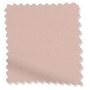 ColorizedSwatch PerfectFIT Florence Blackout Rosewater Roller Blind sample image 2565