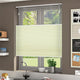 ColorizedZoom 8905