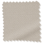 ColorizedSwatch 2818