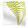 ColorizedSwatch Angel Ferns Olive Roller Blind sample image 3731