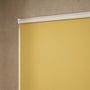 ColorizedZoom 4025