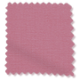 ColorizedSwatch Electric Avalon Peony Pink Roller Blind sample image 4249