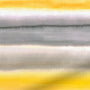 ColorizedZoom 4415