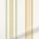ColorizedZoom 5311