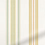 ColorizedZoom 5311