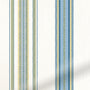 ColorizedZoom 5334