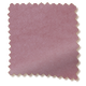 ColorizedSwatch Velvet Dusky Rose Curtains sample image 5512