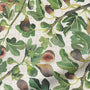 ColorizedZoom Figs Green Curtains 5897