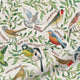 ColorizedZoom Garden Birds Multi Curtains 5898