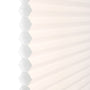 ColorizedZoom 8381