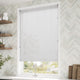ColorizedZoom Form Brushed Silver Venetian Blind - 25mm Slat 2290