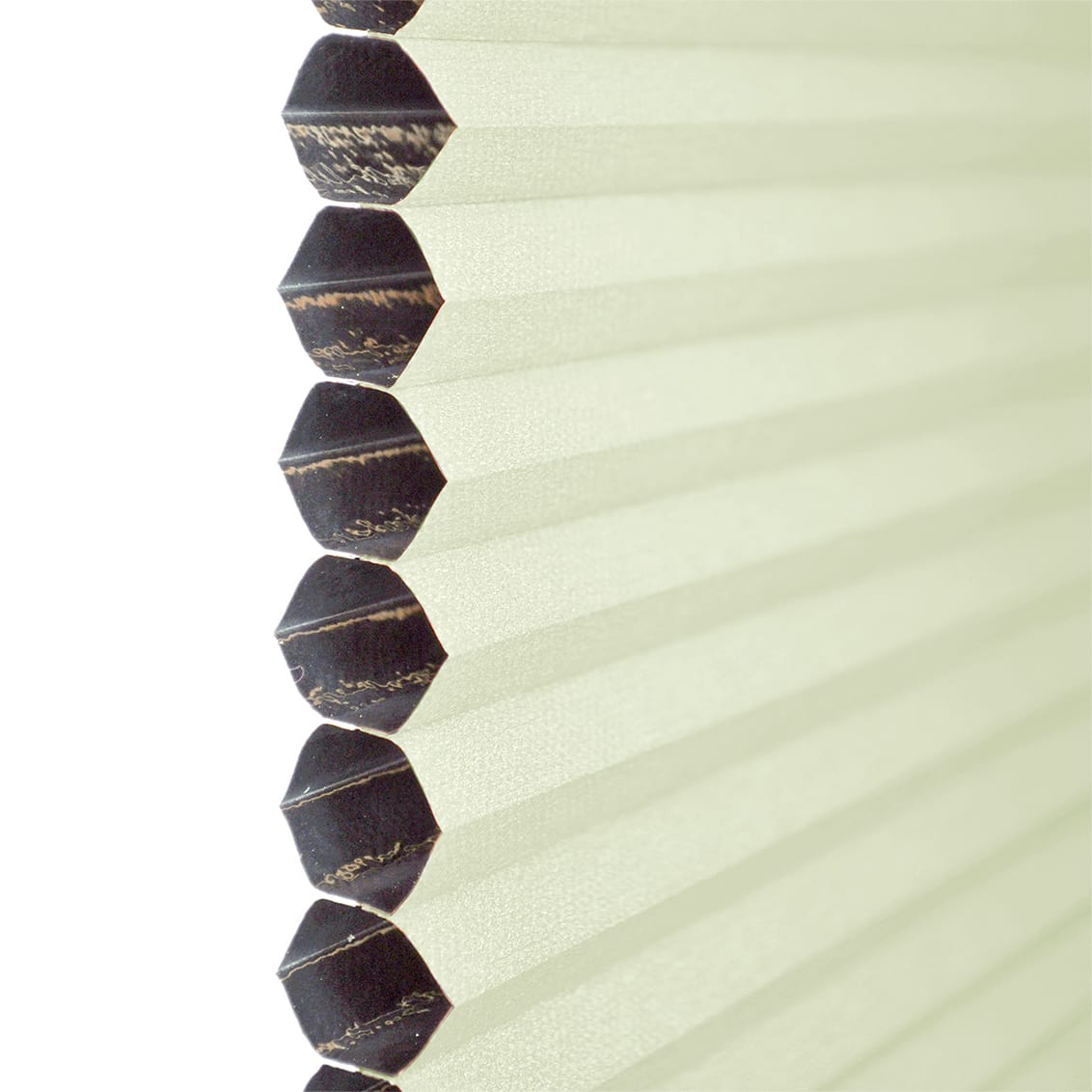 ColorizedPLA DuoShade Cordless Limoncello Thermal Blind 2202
