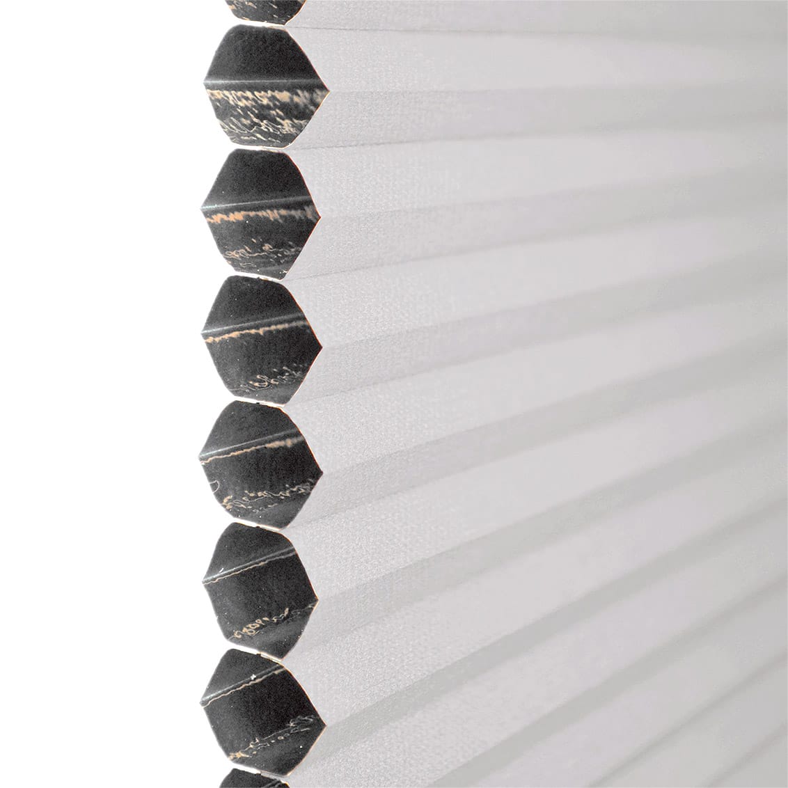 ColorizedPLA DuoShade Cordless Plume Thermal Blind 2206