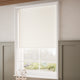 ColorizedZoom Atom Eggshell  Double Roller Blind 2338