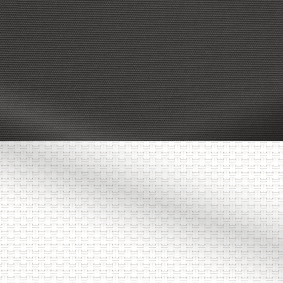 PID-1294_CID-1365_p 