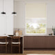 Colorized Electric Atom Toffee Double Roller Blind 2413