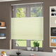 ColorizedZoom  8905