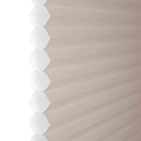 ColorizedPLA DuoLight Top Down/Bottom Up Mushroom  Thermal Blind 2746