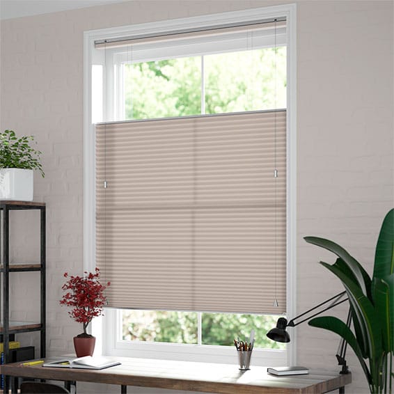 ColorizedZoom DuoLight Top Down/Bottom Up Mushroom  Thermal Blind