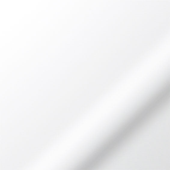 ColorizedPLA Metropolis PVC Cool White Vertical Blind 2855